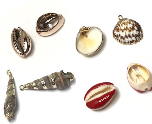 Buy Perlen und Anhänger Muschelschalen  at wholesale prices