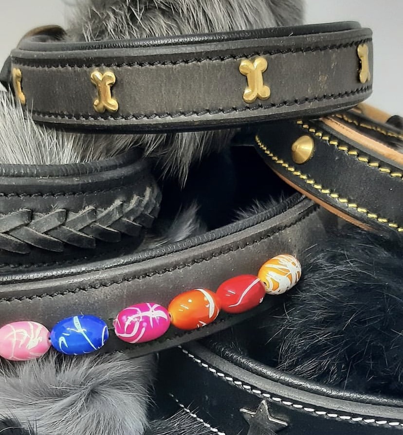 De beste halsband voor uw hondje