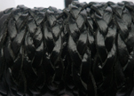 15mm-Flat Braided-Black