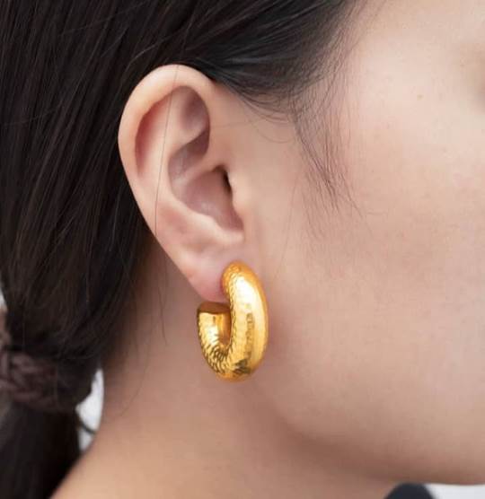Stainless Steel Earnings - SSEAR2-PVD Gold plated