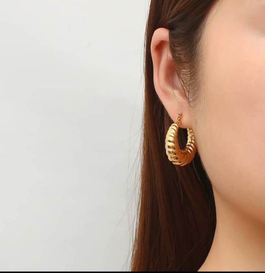 Stainless Steel Earnings - SSEAR4-PVD Gold plated