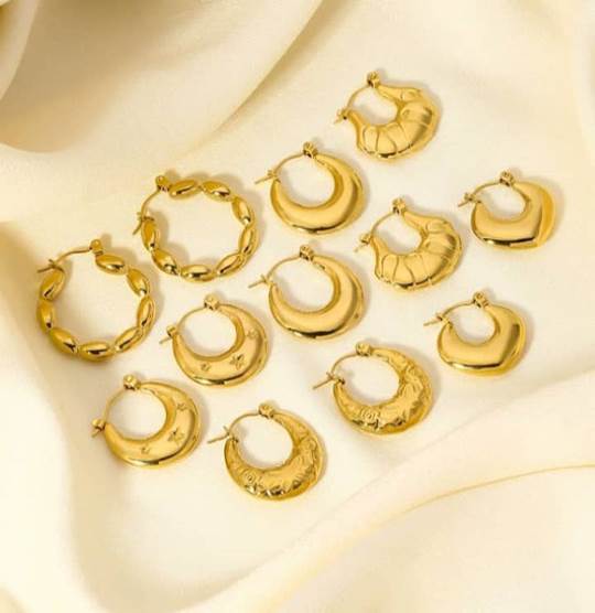 Stainless Steel Earnings - SSEAR27-PVD Gold plated