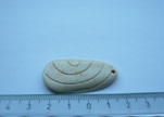 Bone Beads BB-1