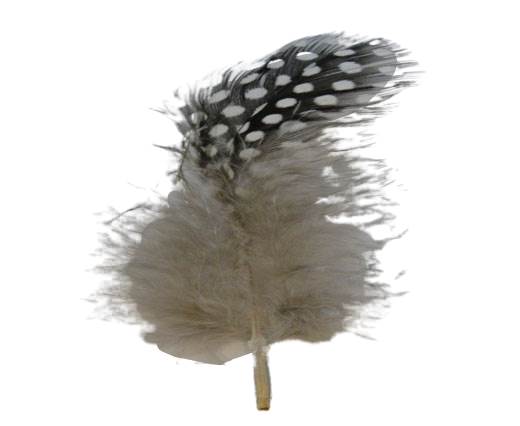 Feather-FR-02