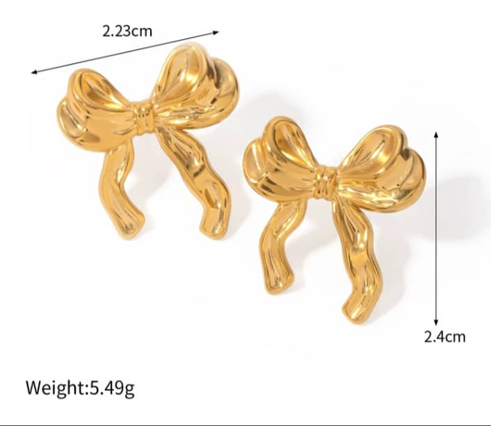 Stainless Steel Earnings - SSEAR51-PVD Gold plated