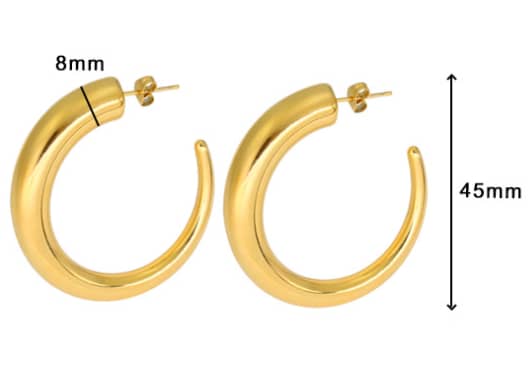 Stainless Steel Earnings - SSEAR69-PVD Gold plated