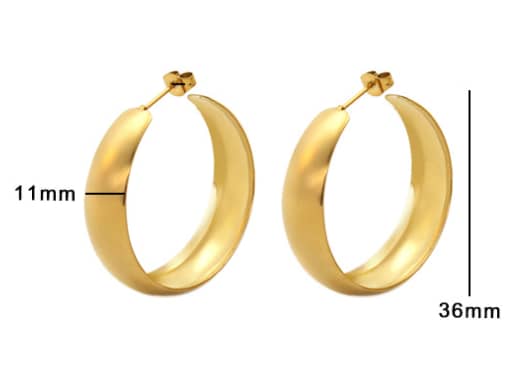 Stainless Steel Earnings - SSEAR72-PVD Gold plated