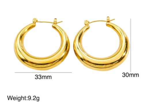 Stainless Steel Earnings - SSEAR76-PVD Gold plated