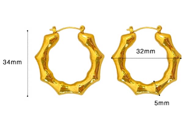 Stainless Steel Earnings - SSEAR87-PVD Gold plated