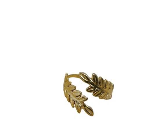 Gold plated Stainless Steel Rings - 56