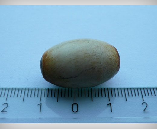 Horn Beads HB-38
