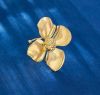 Stainless Steel Earnings - SSEAR33-PVD Gold plated