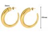 Stainless Steel Earnings - SSEAR69-PVD Gold plated