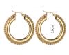 Stainless Steel Earnings - SSEAR75-PVD Gold plated