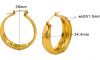 Stainless Steel Earnings - SSEAR84-PVD Gold plated