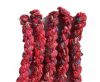 SARI SILK color number 63 fushia