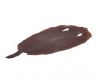 stingray-whole-skin-polished-ca50-x-24-cm