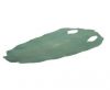 stingray-whole-skin-polished-ca60-x-31-cm