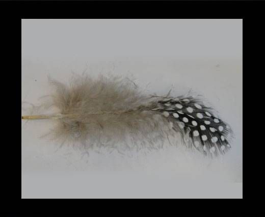 Feather-FR-02