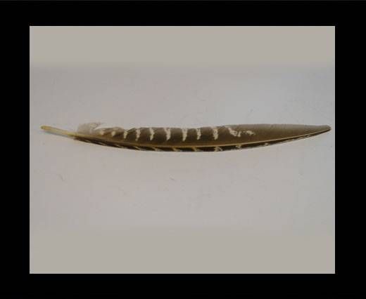 Feather-FR-03