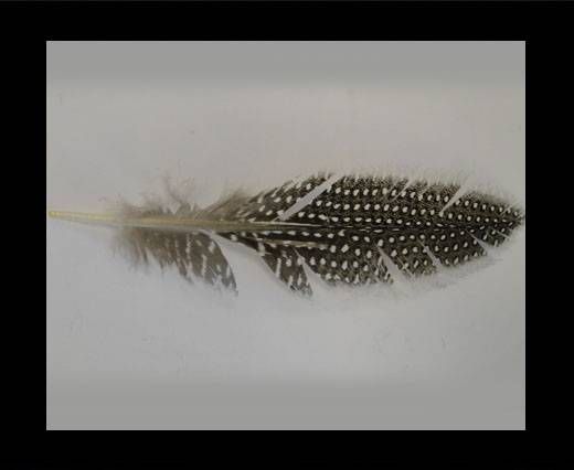 Feather-FR-05