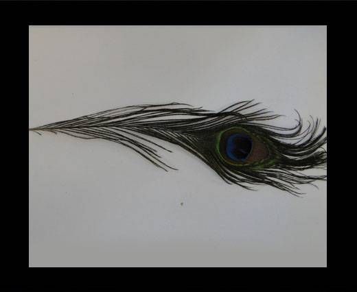 Feather-FR-06