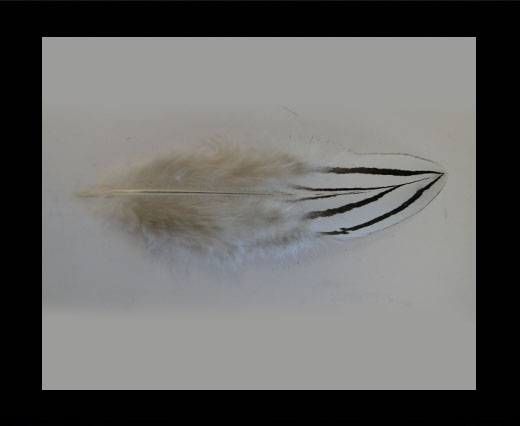 Feather-FR-07