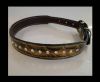 Dog Collars SE/DCB/15