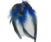 Feathers with Hooks-style 1 - colour 13
