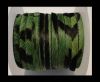 Hair-On Leather Flat-Green Zebra Print-20mm