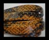 NappaFlat-Snake Style-10mm-orange-black