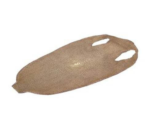 stingray-whole-skin-polished-ca32-x-16-cm
