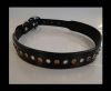 Dog Collars SE/DCB/08