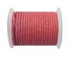 Round Braided Leather Cord-SE-16-4mm