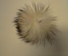 Finn Raccoon Pom Pom-Natural White-14cms