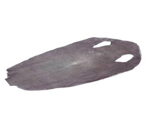 stingray-whole-skin-polished-ca45-x-25-cm