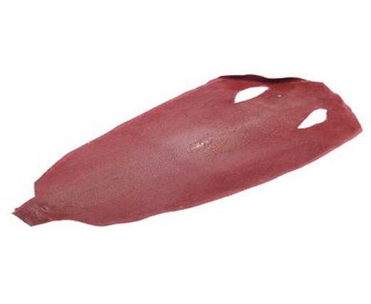 stingray-whole-skin-polished-ca47-x-24-cm