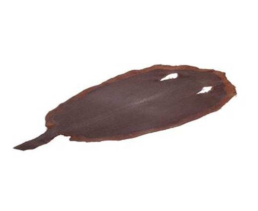 stingray-whole-skin-polished-ca50-x-24-cm