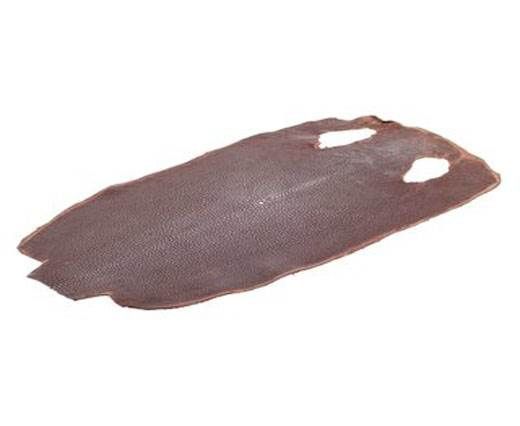 stingray-whole-skin-polished-ca50-x-28-cm_1