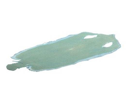 stingray-whole-skin-polished-ca56-x-23-cm