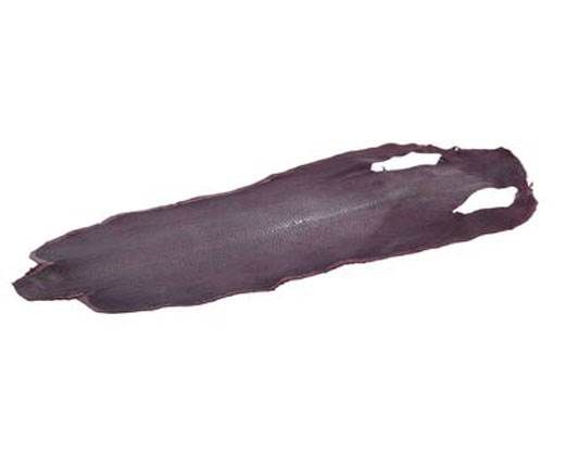 stingray-whole-skin-polished-ca58-x-27-cm