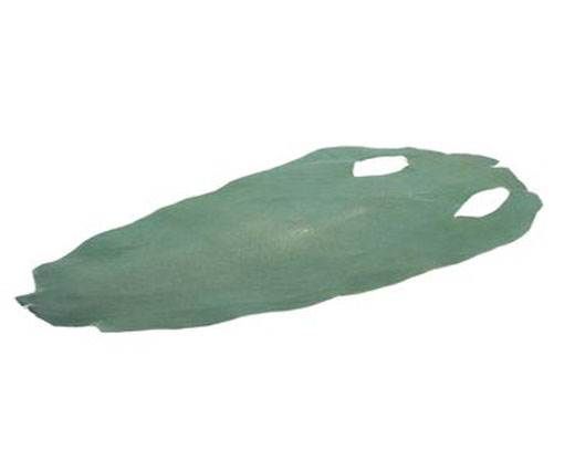 stingray-whole-skin-polished-ca60-x-31-cm
