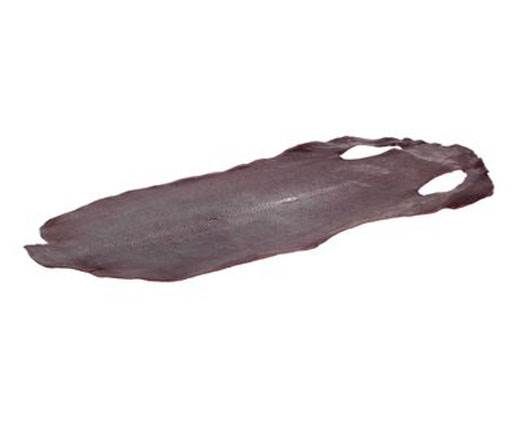 stingray-whole-skin-polished-ca65-x-28-cm