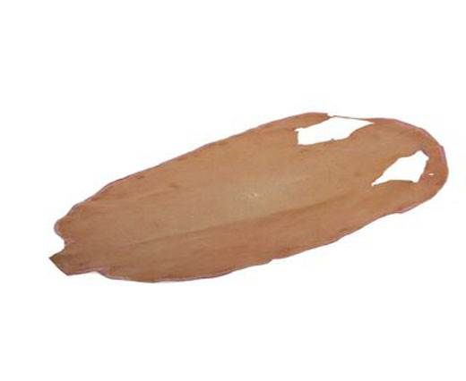 stingray-whole-skin-polished-ca70-x-37-cm