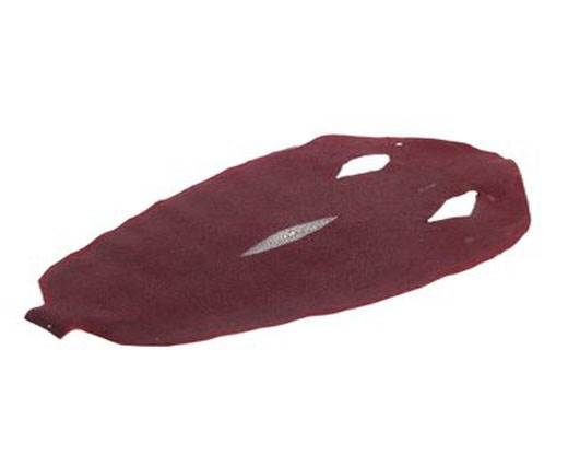 stingray-whole-skin-unpolished-ca45-x-23-cm