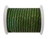 Round Braided Leather Cord SE/B/2025-Fern - 4mm