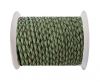 Round Braided Leather Cord SE/B/718-Asparagus-natural edges - 4m