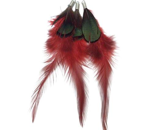 Feathers with Hooks-style 1 - colour 3