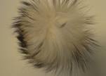 Finn Raccoon Pom Pom-Natural White-14cms