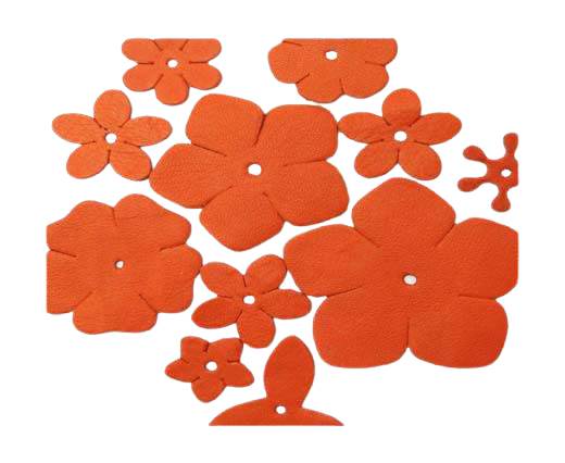 Mix flower packet -Orange-Style1